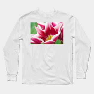 Tulipa  'Ballade'  AGM  Tulip  Lily-flowered Group  April Long Sleeve T-Shirt